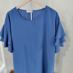 Ruffled Sleeve Blue Blouse